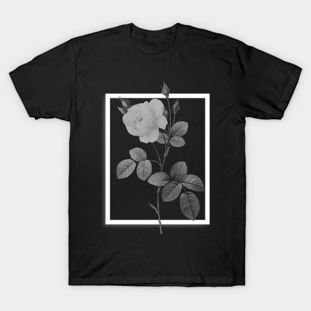 Mysterious rose T-Shirt by Bleubruise